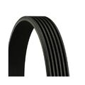 1x Keilrippenriemen CONTINENTAL CTAM 6PK751 passend für PEUGEOT SEAT SKODA VW