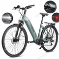 28 Zoll Elektrofahrrad E-Bike E-Mountainbike mit 250W Bafang Motor 36V/15AH Akku