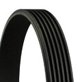 Continental ContiTech 6PK1800 Keilrippenriemen für OPEL Astra G CC (T98) 1800mm