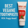 aus DE : Vicco Toothpaste Zahnpasta Zahncreme 100g | vegan | Rabatt ab 2 Stk