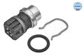 MEYLE 014 812 0006 Sensor, Ansauglufttemperatur für MERCEDES-BENZ MITSUBISHI