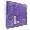 Wella SP Repair Beauty-Geschenkbox, Shampoo 250ml Maske 200ml, Luxeoil 30ml 