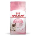 2kg ROYAL CANIN MOTHER & BABYCAT Katzenfutter für tragende Katzen und Kitten 