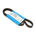 DAYCO Keilrippenriemen passend für VW Lupo 6X1 6E1 Polo 6N2 Seat Arosa 6H