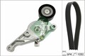 INA Keilrippenriemensatz 529 0469 10 für AUDI FORD SEAT SKODA VW