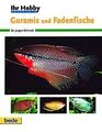 Guramis und Fadenfische, Ihr Hobby von Jürgen Schmidt | Buch | Zustand gut