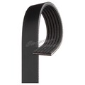 Keilrippenriemen für Audi A7 4GA A8 D4 4H2 Q2 GAB Q3 F3B F3N Q5 8RB FYB | 95922