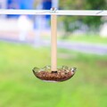 Vogelfutterspender, Vogelkäfig-Zubehör, Futternapf für Tauben,