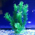 4X Aquarium Wasserpflanzen Set Aquarien Künstliche Pflanze Sparset Kunstpflanze