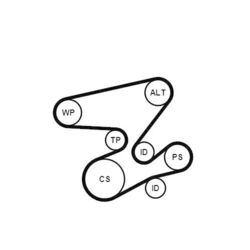 1x Keilrippenriemensatz CONTINENTAL CTAM 6PK2080K1 passend für BMW