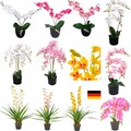 Künstliche Orchidee Kunstpflanze Pflanze mit Topf  Decovego 30-90cm in Farbwahl