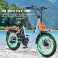 NEW 20 Zoll Reifen Elektrofahrrad 36V 13Ah 250W E-Mountainbike 35KM Hidoes C6