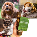 Kauknochen Hund Olivenholz Kauspielzeug Kaustange Kauholz Geschenk für Hunde