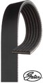 Gates 6PK2870 Keilrippenriemen Keilriemen für Jeep 