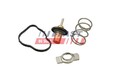 FAST Thermostat, Kühlmittel FT58026 für JEEP MERCEDES-BENZ