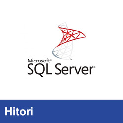 Microsoft SQL Server Standard 2022 + 10 USER CALS / Zustellung per Post