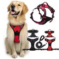 Hundegeschirr Brustgeschirr Hunde verstellbar S M L XL gepolstert Nylon reflekt