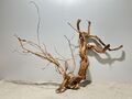 Drachenwurzel, Curl Wurzel, Aquariumwurzel ähnlich Mangrove  #1392 76x18x52cm