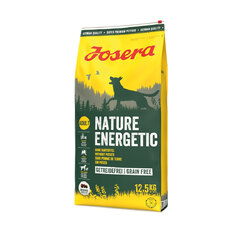 Josera Nature Energetic Getreidefreies Hundefutter Trockenfutter | 12,5 kg