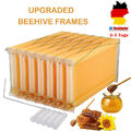 7 PCS Auto Honig Waben Bienenstock Wachsrahmen Bee Hive Set für Bienenstock Box