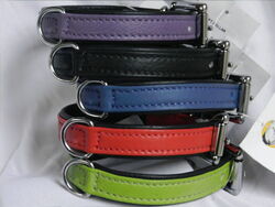 weiches Lederhalsband 25cm 30cm 35cm 40cm Hund Leder Halsband Hundehalsband neu