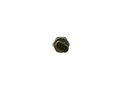 0 281 006 163 BOSCH Sensor, Kraftstoffdruck für ISUZU,TOYOTA