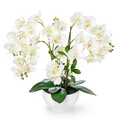 PASCH® Künstliche Orchideen wie echt im Keramiktopf (56cm) - Kunstblumen im Topf