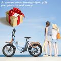 NEW E-Bike,20 Zoll Elektrofahrrad 36V 13Ah E-Bike 250W E-Mountainbike Hidoes C6