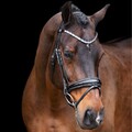 Trensenzaum Ledertrense anatomisch IRHOlympia Imperial Riding schwarz/silver