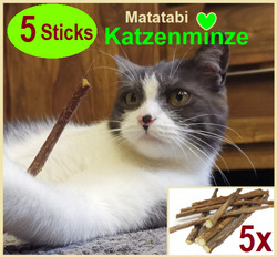 5x Katzenminze ORIGINAL "Matatabi" 😽Catnip Kauholz Zahnpflege Katze Sticks ✔  