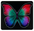 WENKO Multi Platte Herd Abdeckung Küchen Schneide Brett Butterfly by Night