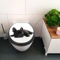 banjado premium WC-Sitz anthrazit Toilettendeckel Absenkautomatik Bulldogge