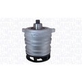 Magneti Marelli 352316171197 Wasserpumpe für VW MULTIVAN T5 TOUAREG 7HB 7HJ