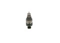 BOSCH Druckregelventil Common-Rail-System 0 281 002 800 für RENAULT NISSAN DT0 3