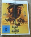 Racer and the Jailbird
