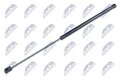 NTY AE-SE-020 Gasfeder Motorhaubendämpfer für VW SHARAN (7N1, 7N2) 554mm 295N