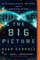 Sean Carroll The Big Picture (Taschenbuch) (US IMPORT)