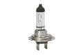BOSCH REINE GLÜHBIRNE H7 12V 55W / PX26D - 1 Stück: 1 987 302 777 Halogen