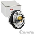 NTY THERMOSTAT OHNE GEHÄUSE passend für DAEWOO KORANDO MUSSO MERCEDES-BENZ 124