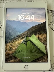 Apple iPad Mini (5. Generation) 64GB, WLAN + 4G (Ohne Simlock), 20,06 cm (7,9...