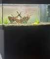 Aquarium JUWEL 200L mit Unterschrank