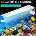 LED Aquarium Licht Fisch Pflanzen Abdeckung Beleuchtung Weiß Blau Lampe 20-50cm