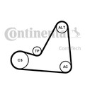 Keilrippenriemensatz CONTINENTAL CTAM 6PK1070K3 für 307 C4 3H CITROËN 1007 C2 SW