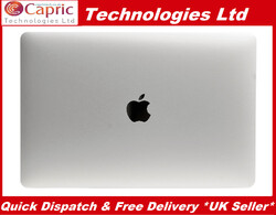 Original 15,4" Apple MacBook A1990 Displaybaugruppe EMC 3215 3359 silber