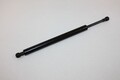 AUTOMEGA Gasfeder, Koffer-/Laderaum 100033510 für VW