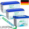 LiFePO4 Akku 12V 24V 100Ah 200Ah Lithium Batterie BMS Low Temperatu für RV Solar