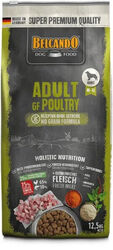 12,5 kg Belcando Adult GF Poultry I Hundefutter I getreidefrei I Trockenfutter