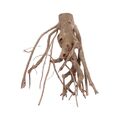 Aquarium Wurzel Deko Talawawurzel Aquascaping Mangroven Echtholz XL Nr.1399