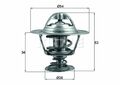 MAHLE Thermostat für HYUNDAI GALLOPER II,H-1 /,H100,H350,PORTER; KIA SORENTO I