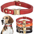 Halsband Echtleder Leder Lederhalsband Hundehalsband Haustier Welpenkragen DE